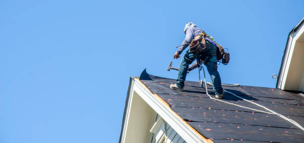 Roof Gutter Cleaning in Zapata, TX